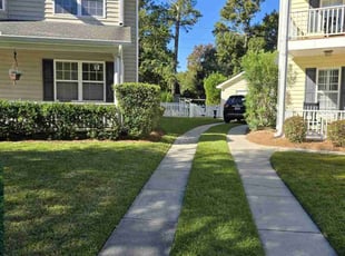 Michael D.'s lawn service service result