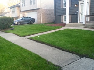 Carolynn P.'s turf maintenance service result