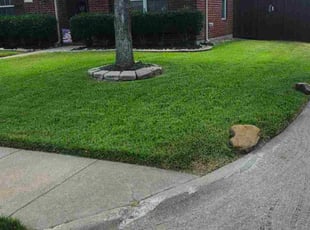 Kathy G.'s lawn care services service result