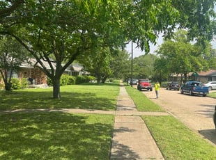 Marisa Z.'s lawn service service result