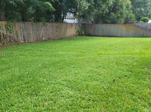 Christine W.'s lawn service service result