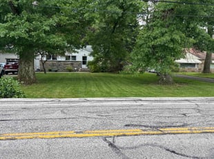 Shannan B.'s grass maintenance service result