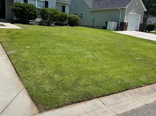 Adrian B.'s lawn care service result