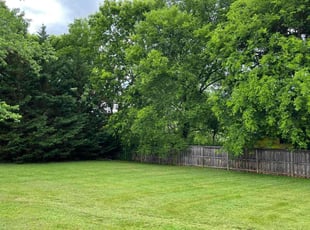 Tyler A.'s grass cutting service result