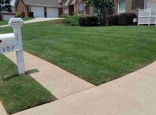 Tanya M.'s lawn maintenance service result