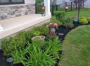 Leslie F.'s Bush Trimming service result