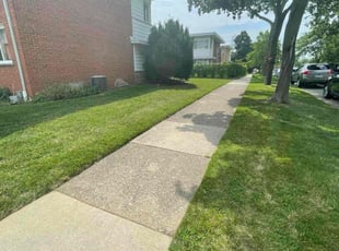 Jeannine F.'s lawn service service result