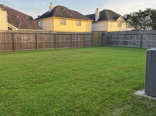 Jasmine P.'s lawn maintenance service result