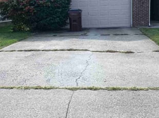 Bonnie S.'s lawn care services service result