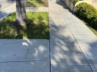 Kirsten R.'s grass maintenance service result