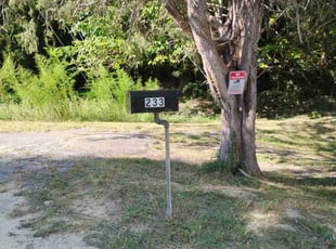 Jo S.'s lawn care services service result