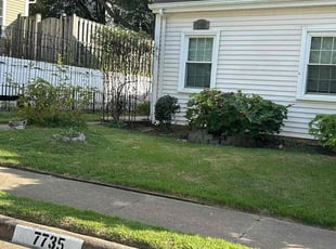 Paul H.'s Bush Trimming service result