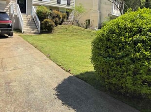 Shaylene R.'s turf care service result