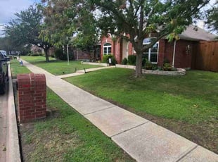 Roderick J.'s turf care service result