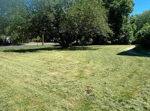 Bennie H.'s lawn care service result