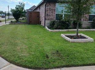 Christian B.'s turf care service result