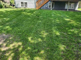 JJoel B.'s lawn service service result