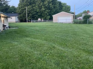 Peggy B.'s turf care service result