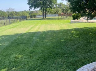 Ben C.'s lawn care service result