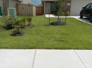 Marcos C.'s turf care service result