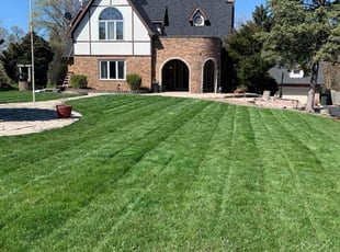 Oana G.'s lawn care service result