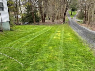 Bibek A.'s lawn care services service result