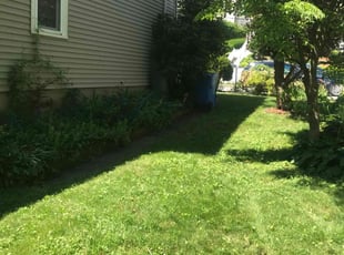 Arpit P.'s lawn care services service result