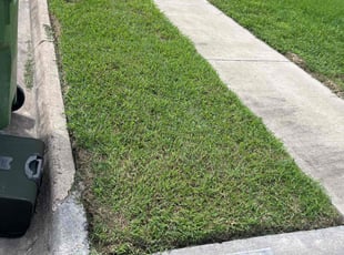 Karen P.'s grass cutting service result