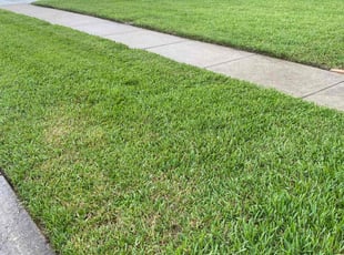 Marguerite J.'s grass cutting service result