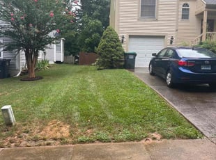 Tim S.'s lawn care service result