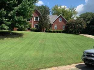 Robin M.'s grass maintenance service result