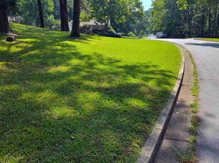 Kristina W.'s grass maintenance service result
