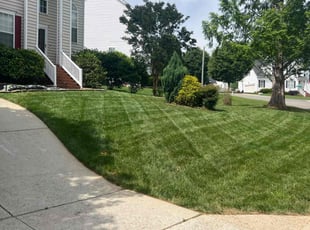 Catherine R.'s turf care service result