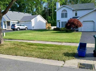 Kristin S.'s yard work service result