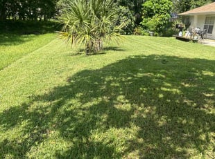 Denise C.'s lawn care service result