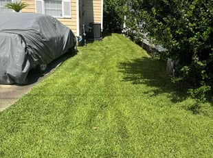 Lawrence R.'s grass maintenance service result