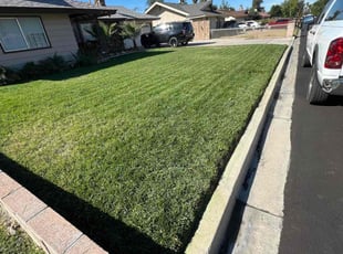 Michael V.'s lawn maintenance service result