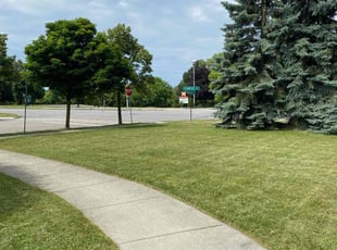 Sara M.'s lawn maintenance service result