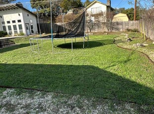 Burt S.'s Leaf Removal service result