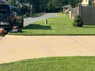 Mariana P.'s lawn maintenance service result