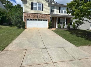 Dennis N.'s lawn care service result