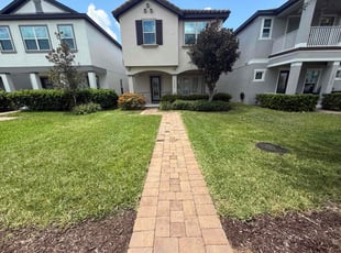 Julie P.'s turf care service result