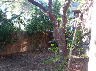 Robert J.'s Bush Trimming service result