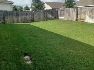 Doramae O.'s grass maintenance service result