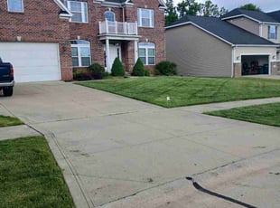 Frances B.'s lawn maintenance service result