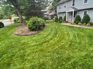 Josephine C.'s lawn care services service result