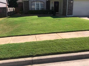Butch M.'s lawn service service result