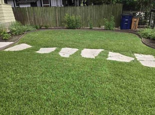 Zarae P.'s lawn care services service result