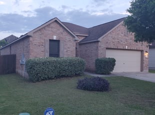 Tracey L.'s Bush Trimming service result