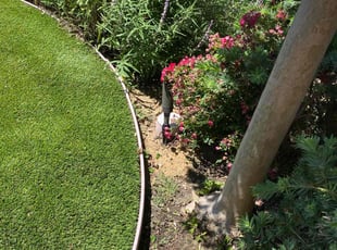 Megan W.'s Bush Trimming service result